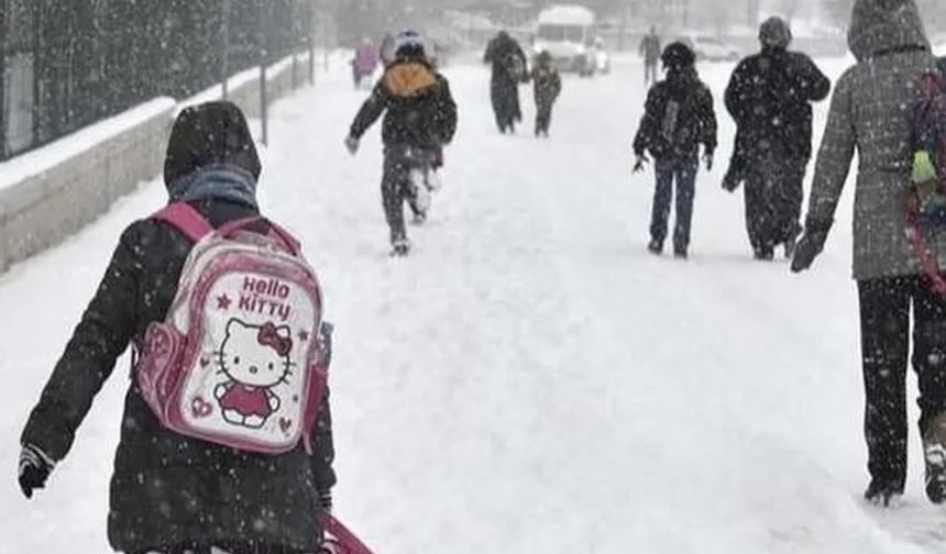 Düzce'deki kar eğitime zorunlu ara verdirdi!