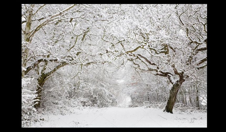 Meteoroloji’den 5 İl İçin “Sarı” Kodlu Uyarı: Kar ve Fırtına Kapıda