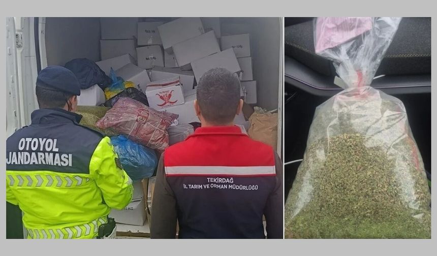 Tekirdağ’da 2 ton sağlıksız fıstık imha edildi