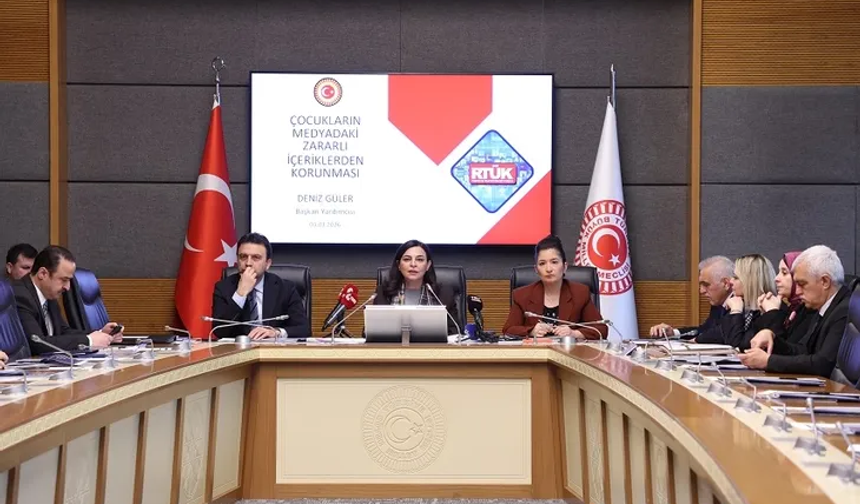 Çocukların Suça Sürüklenmesi Araştırma Komisyonunun görev süresi uzatıldı