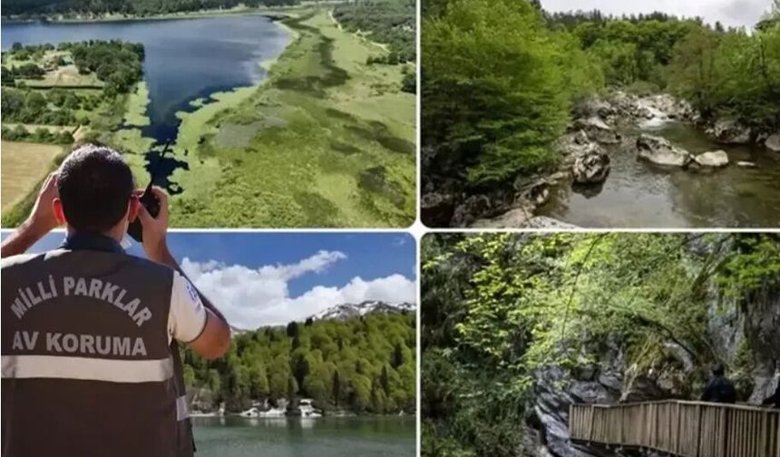 Doğa Koruma ve Milli Parklar Uzmanlığı için 'tez' zorunluluğu