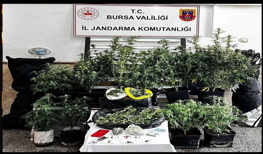 Bursa’da İklimlendirme Sistemi ve Kilo Bazında Esrar Ele Geçirildi