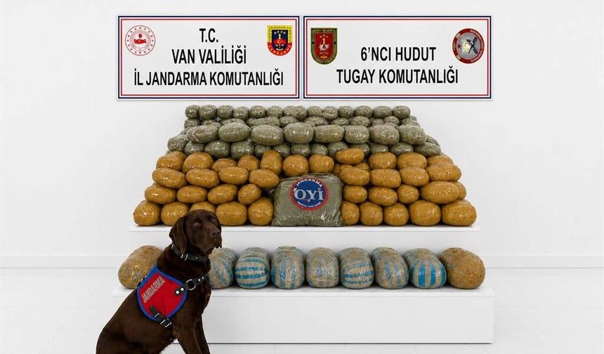 Van’da Uyuşturucu Operasyonu: 291 Kilo Esrar Ele Geçirildi
