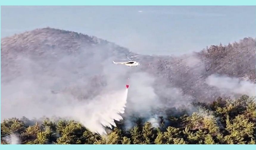 Muğla Milas'taki yangın büyük ölçüde kontrol altında