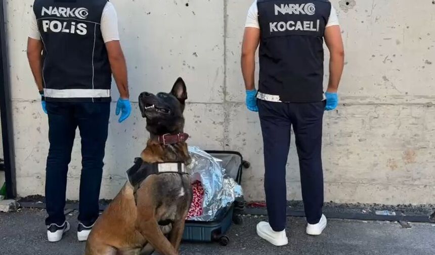 Gebze’de Valizden 21 Bin Sentetik Ecza Çıktı: 2 Şüpheli Tutuklandı