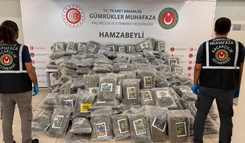 Hamzabeyli Sınır Kapısı’nda 287 Kilo Esrar Ele Geçirildi
